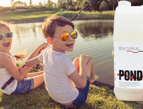 Keep your Pond looking its best this year with Bacterius™ pond Conditioners